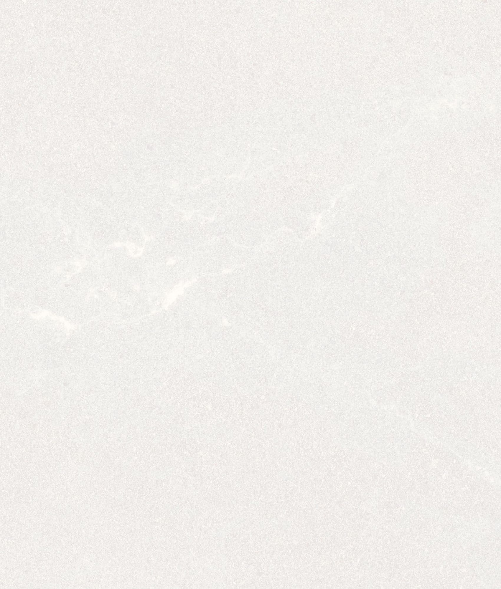 Carrelage pleine masse rectifié UPEC SAALES BLANCO 59,3x59,3- 1,41 m²