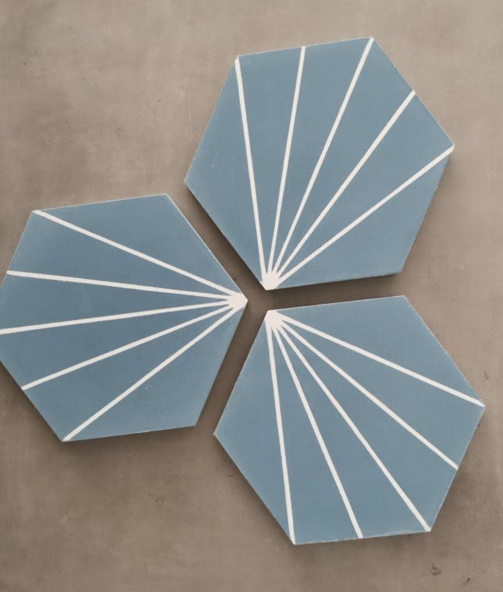 Carreaux de ciment véritables Carreau ciment en tomette dandelion 20x17cm - Ref.8500-12 - 0.307m² - As de Carreaux