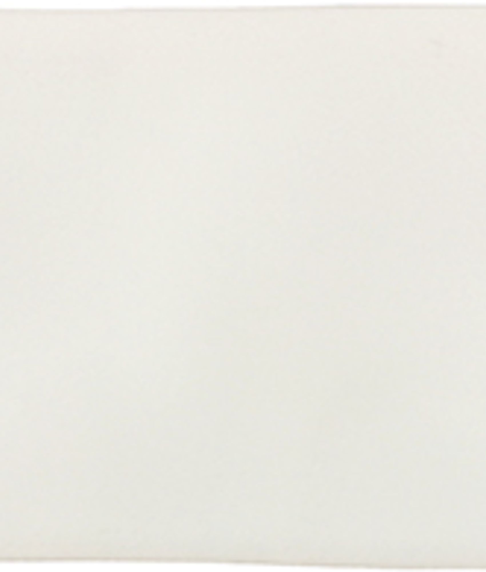 Carrelage Zellige blanc lisse 6,5X20 sans motif pour un design épuré et moderne